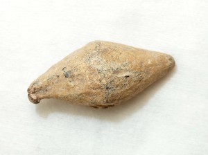 Uno de los glandes conservados en Bailén, de los muchos hallados