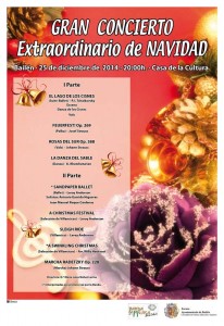 Cartel Concierto Navidad 2014