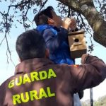 Grandes y pequeños colocan cajas de nidos para aves en Burguillos
